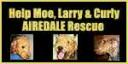 Moe Larry Curly Banner