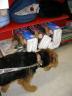 Bogart at Petco