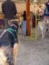 Bogart at the Pottery Studio