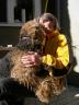 Mareike's Airedales!