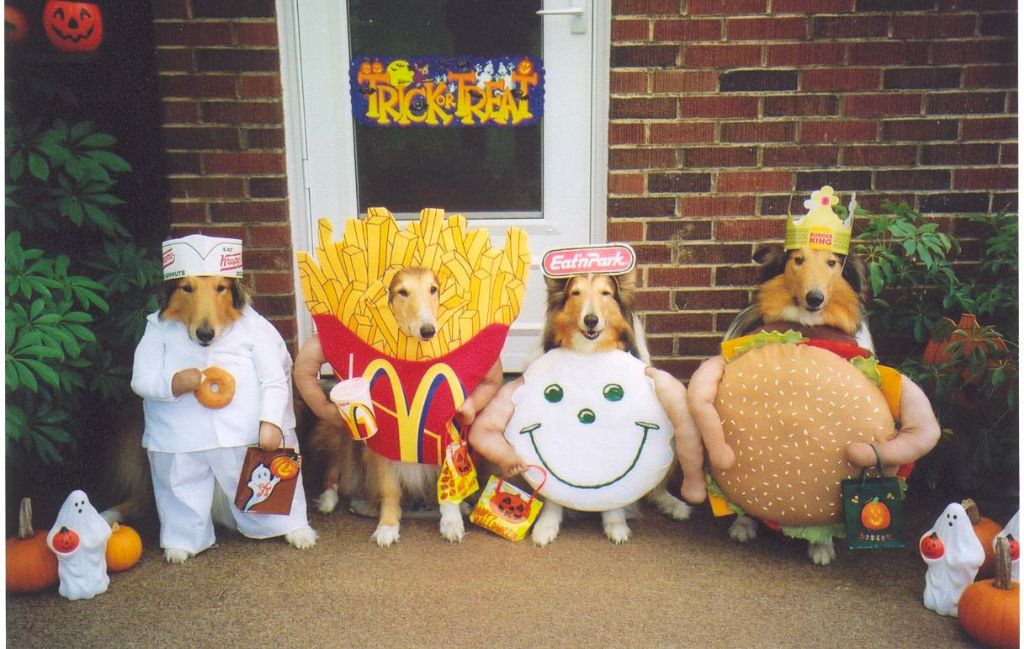 Collies in Costume