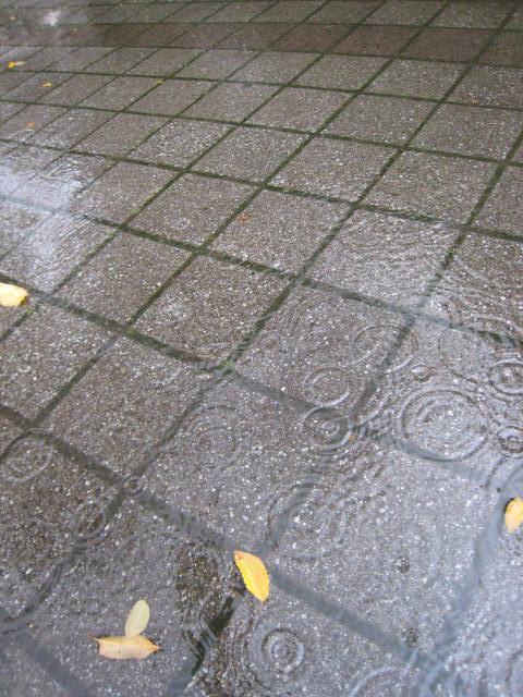 fallrain5