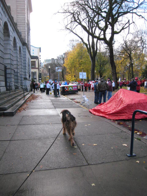 parade1