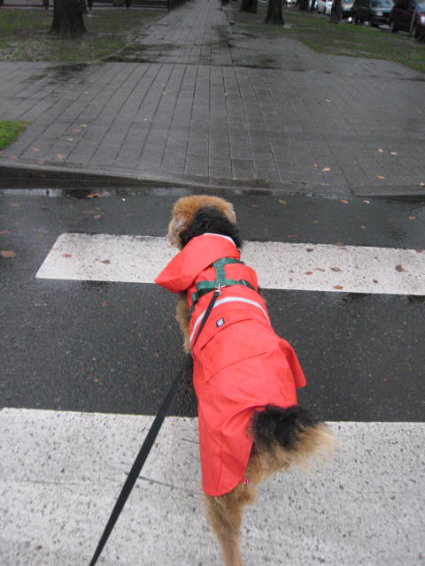 raincoat3